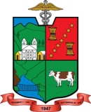 Imagen Escudo de Gonzanamá